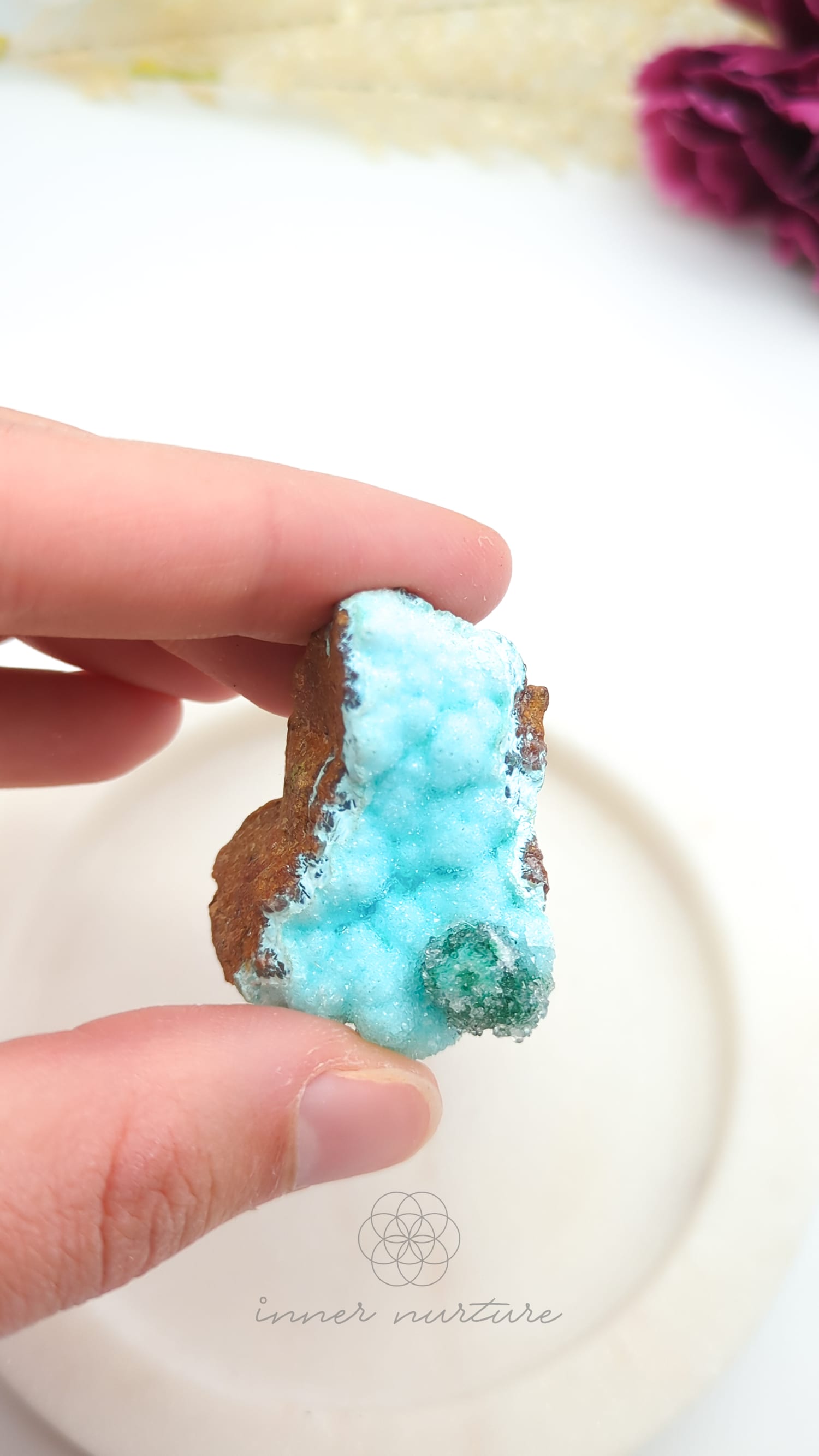 Turquoise crystal held between fingers on a white background. Malacolla Specimen, Drusy Coated On Dolomite - #7 at Crystal Shop Online Australia called Inner Nurture