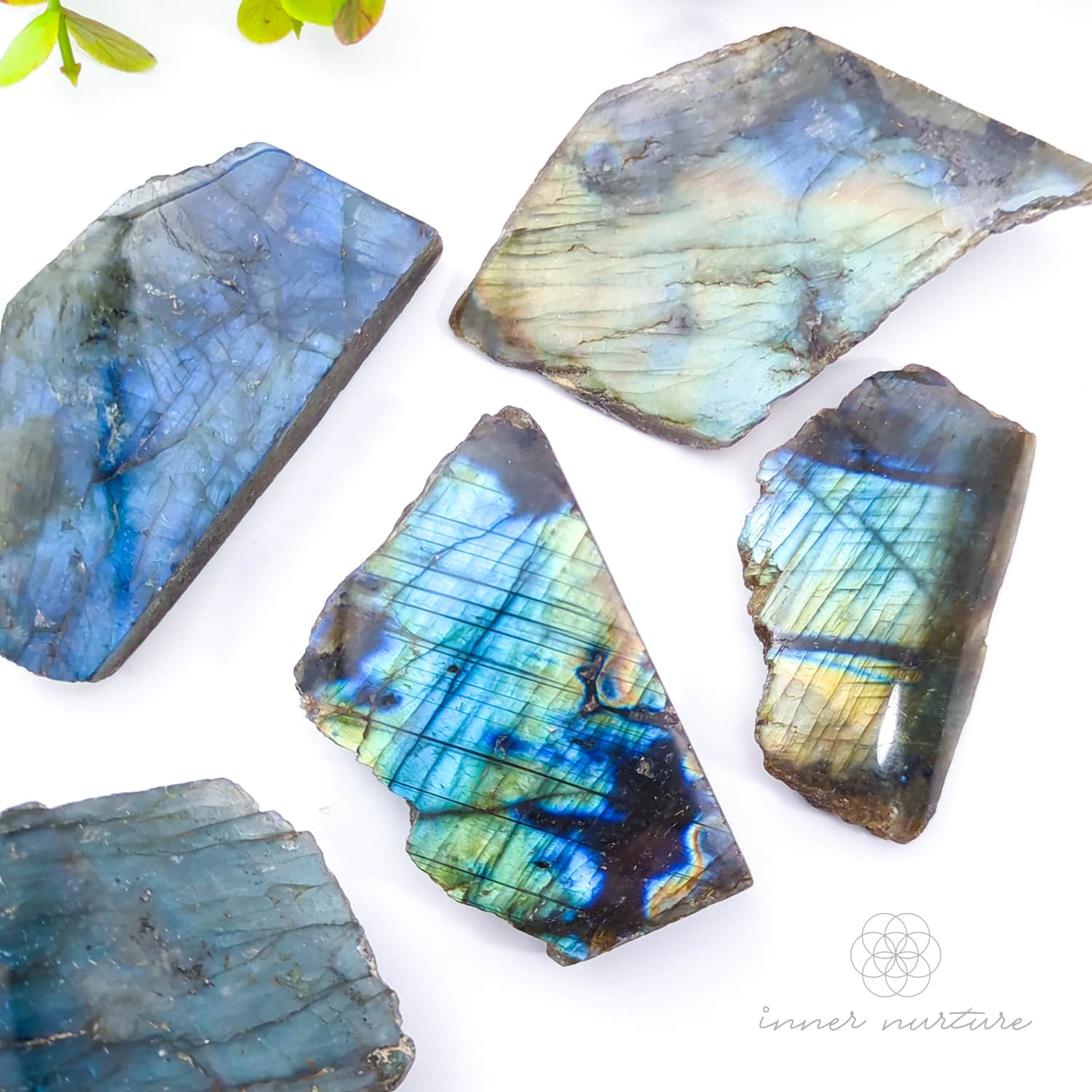 labradorite polished slices - meaning, uses properties - crystal shop inner nurture australia