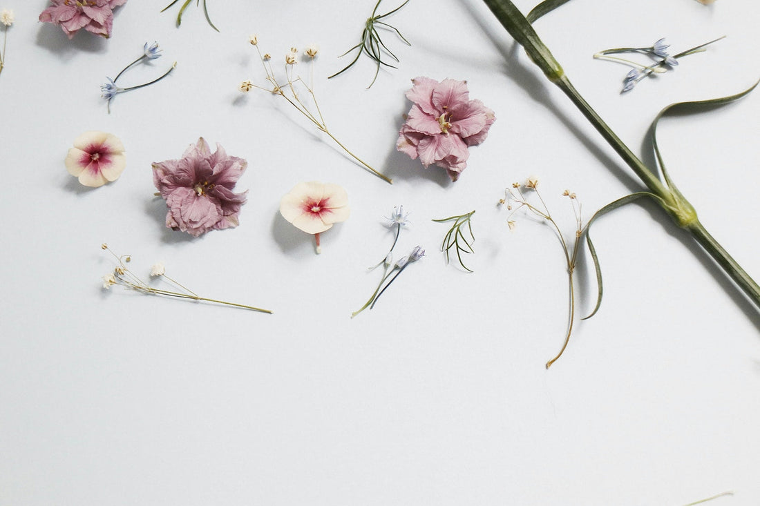 a range of dried flowers arranged on a white background, signifying crystals for spring, available at inner nurture, an online crystal shop in australia