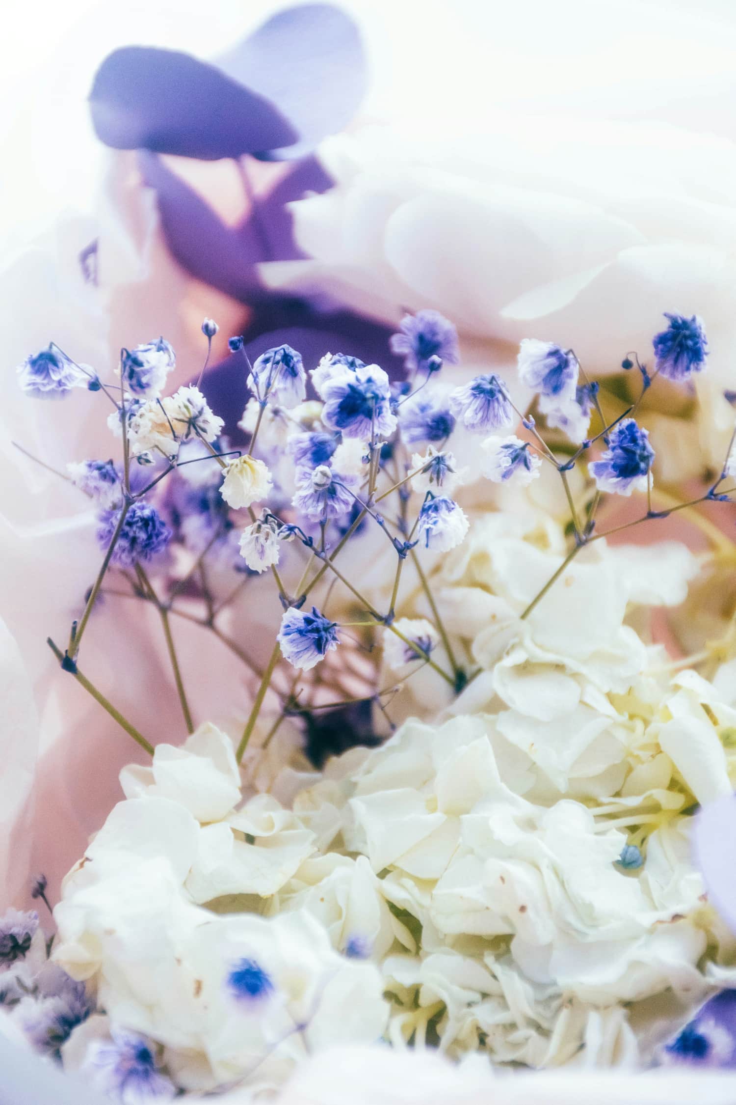 Crystals for Spring - Welcoming Fresh Energy & New Beginnings