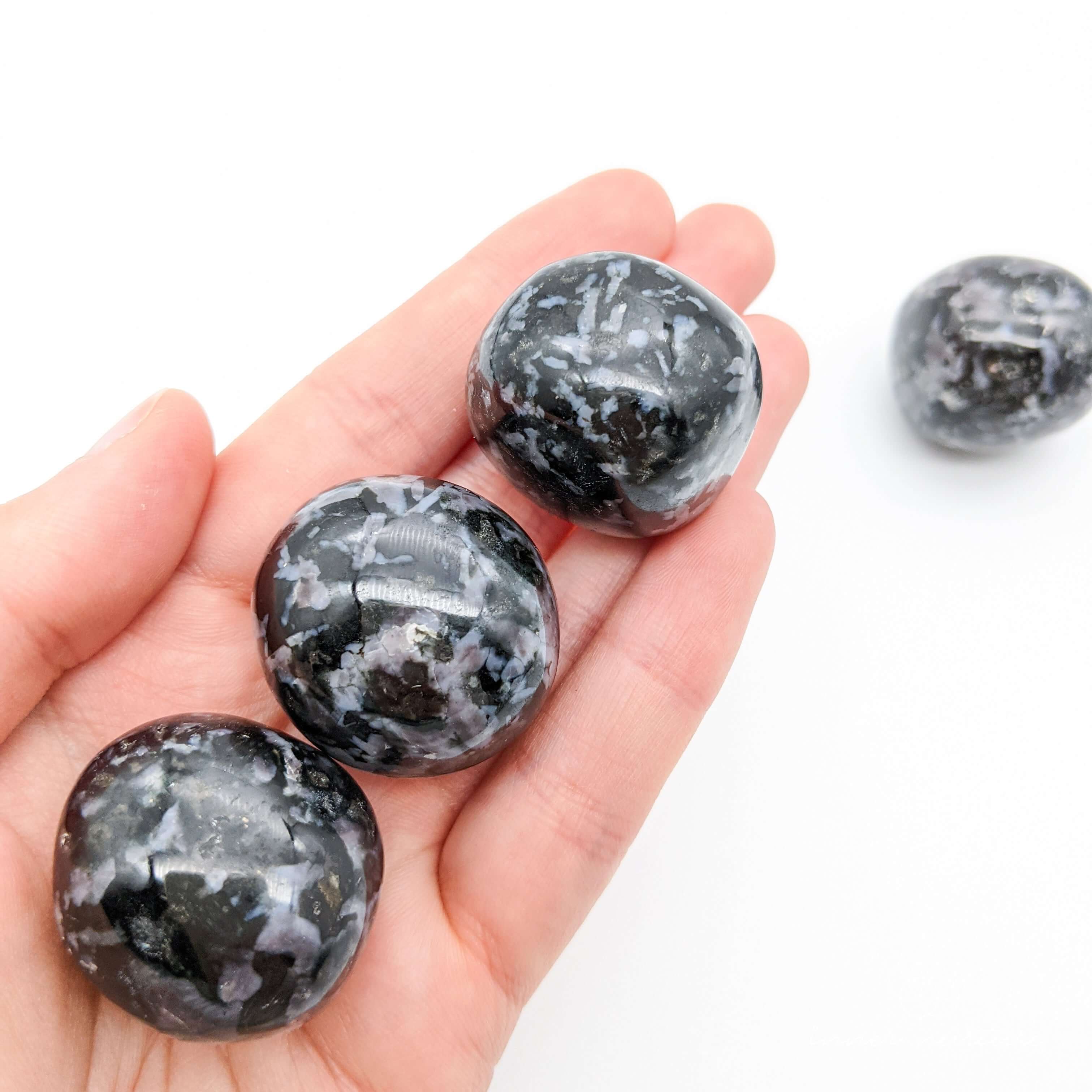 Indigo Gabbro (Mystic Merlinite)