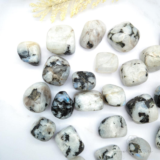 Rainbow Moonstone Tumble | Crystal Shop Australia - Inner Nurture