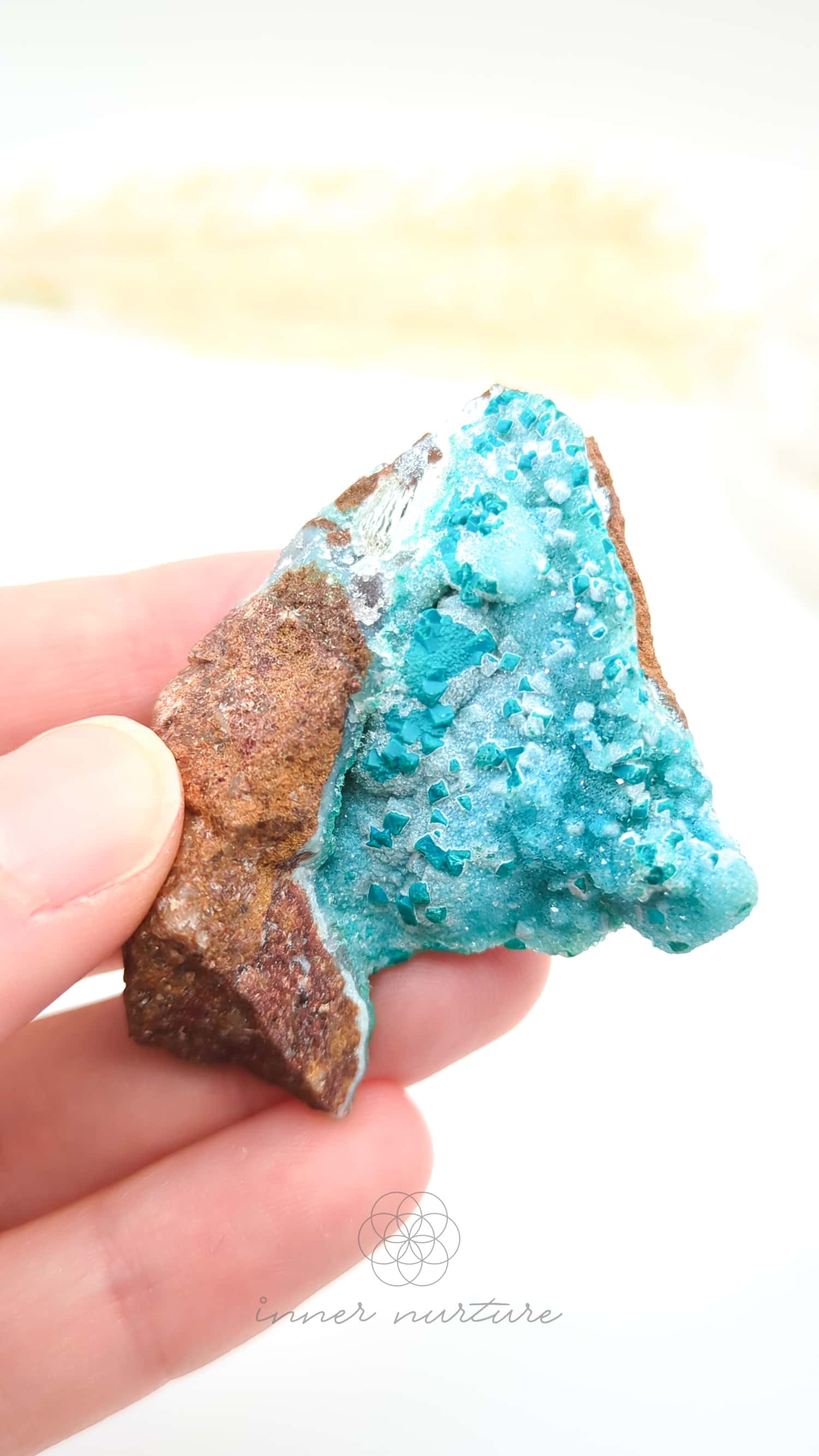 Hand holding a blue and brown crystal against a white background. Malacolla Specimen, Drusy Coated On Dolomite - #1  at Crystal Shop Online Australia called Inner Nurture