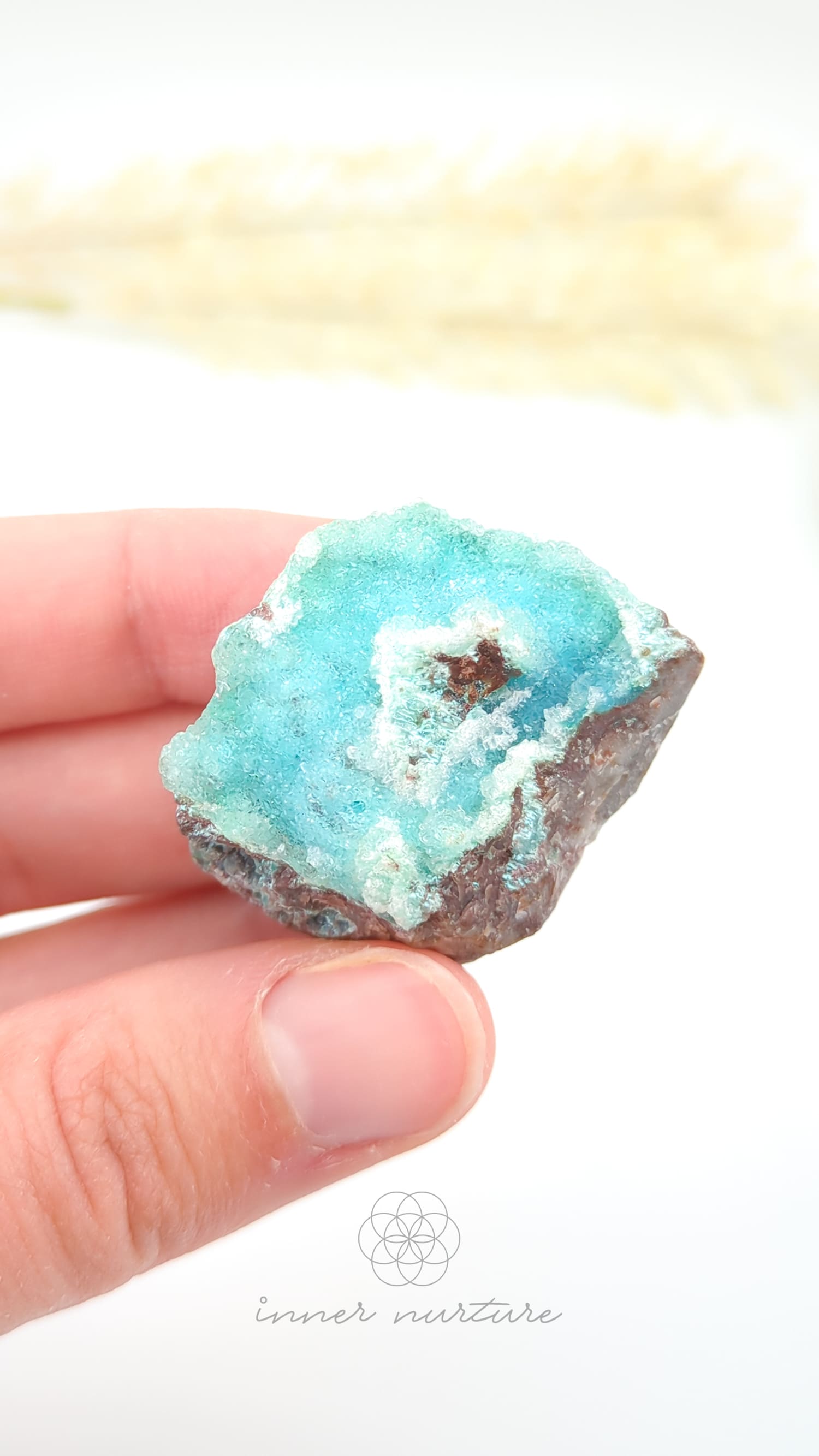 Turquoise crystal held between fingers against a white background. Malacolla Specimen, Drusy Coated On Dolomite - #3 at Crystal Shop Online Australia called Inner Nurture