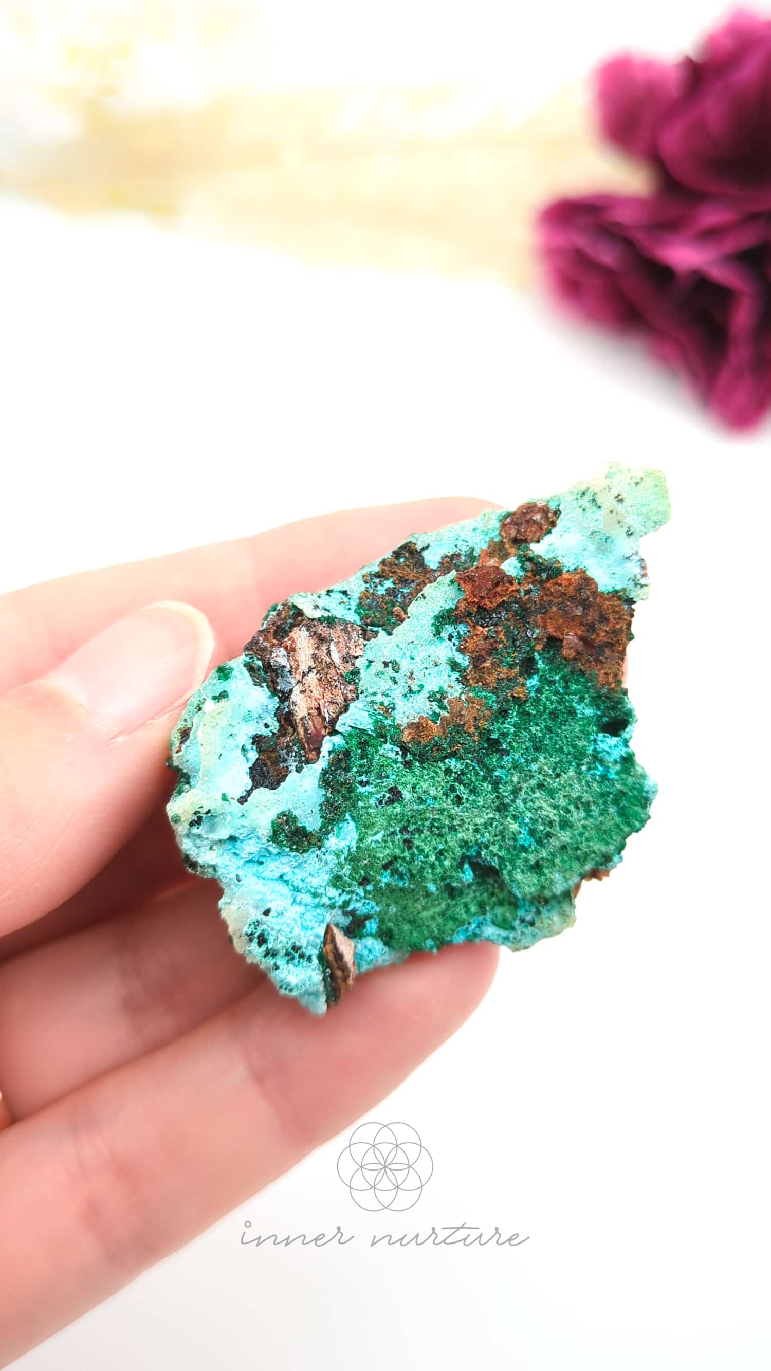 Turquoise mineral specimen held in a hand with a blurred background. Malacolla Specimen, Drusy Coated On Dolomite - #6 at Crystal Shop Online Australia called Inner Nurture