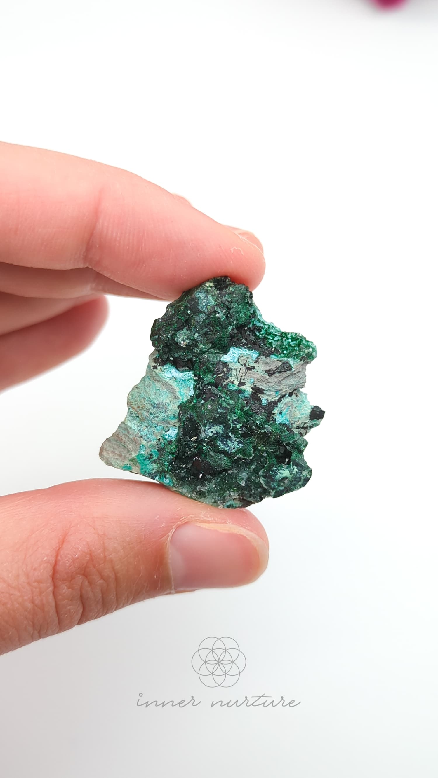 Hand holding a green mineral crystal against a white background. Malacolla Specimen, Drusy Coated On Dolomite - #8 at Crystal Shop Online Australia called Inner Nurture