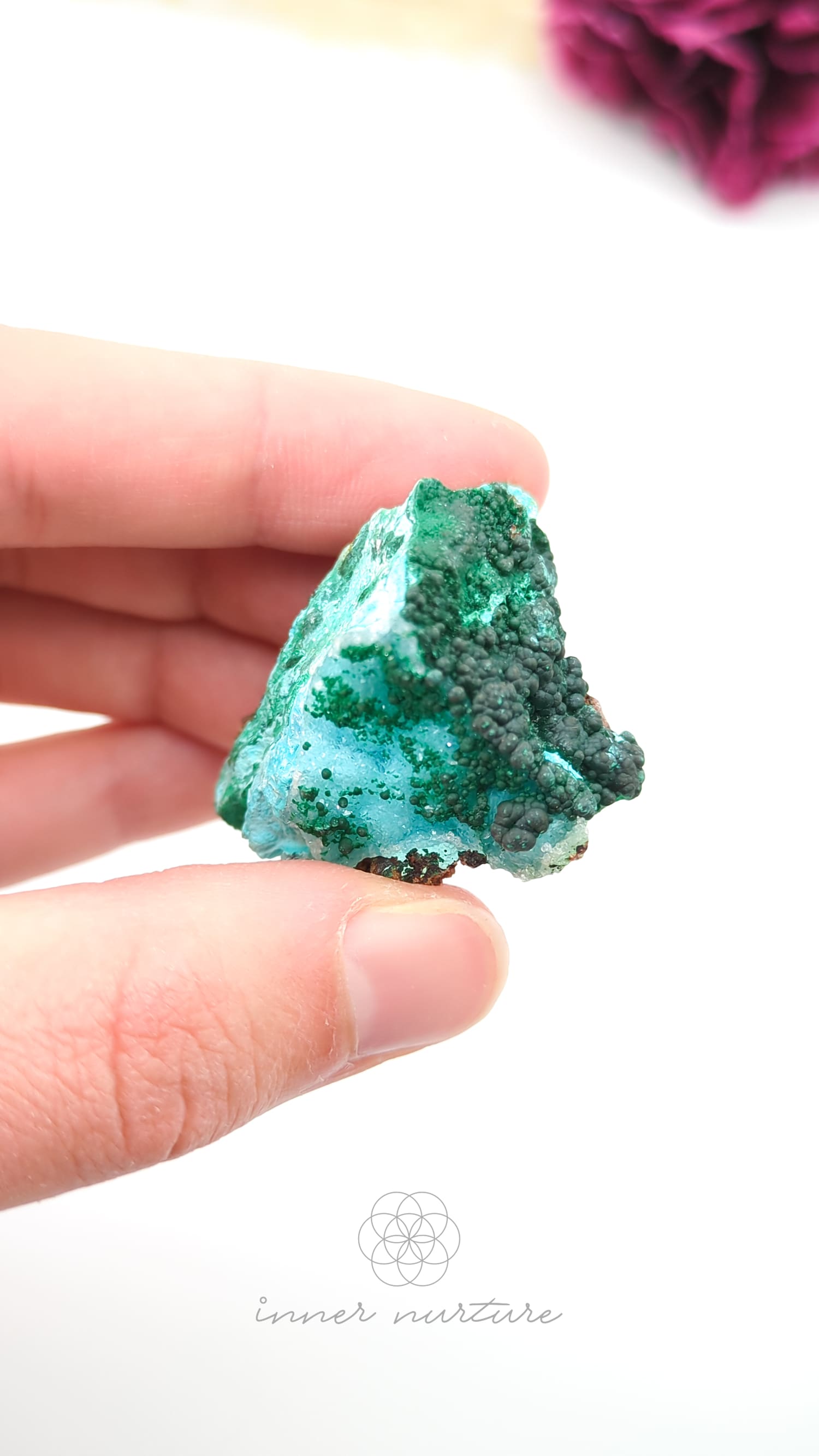 Hand holding a green mineral crystal against a white background. Malacolla Specimen, Drusy Coated On Dolomite - #9 at Crystal Shop Online Australia called Inner Nurture