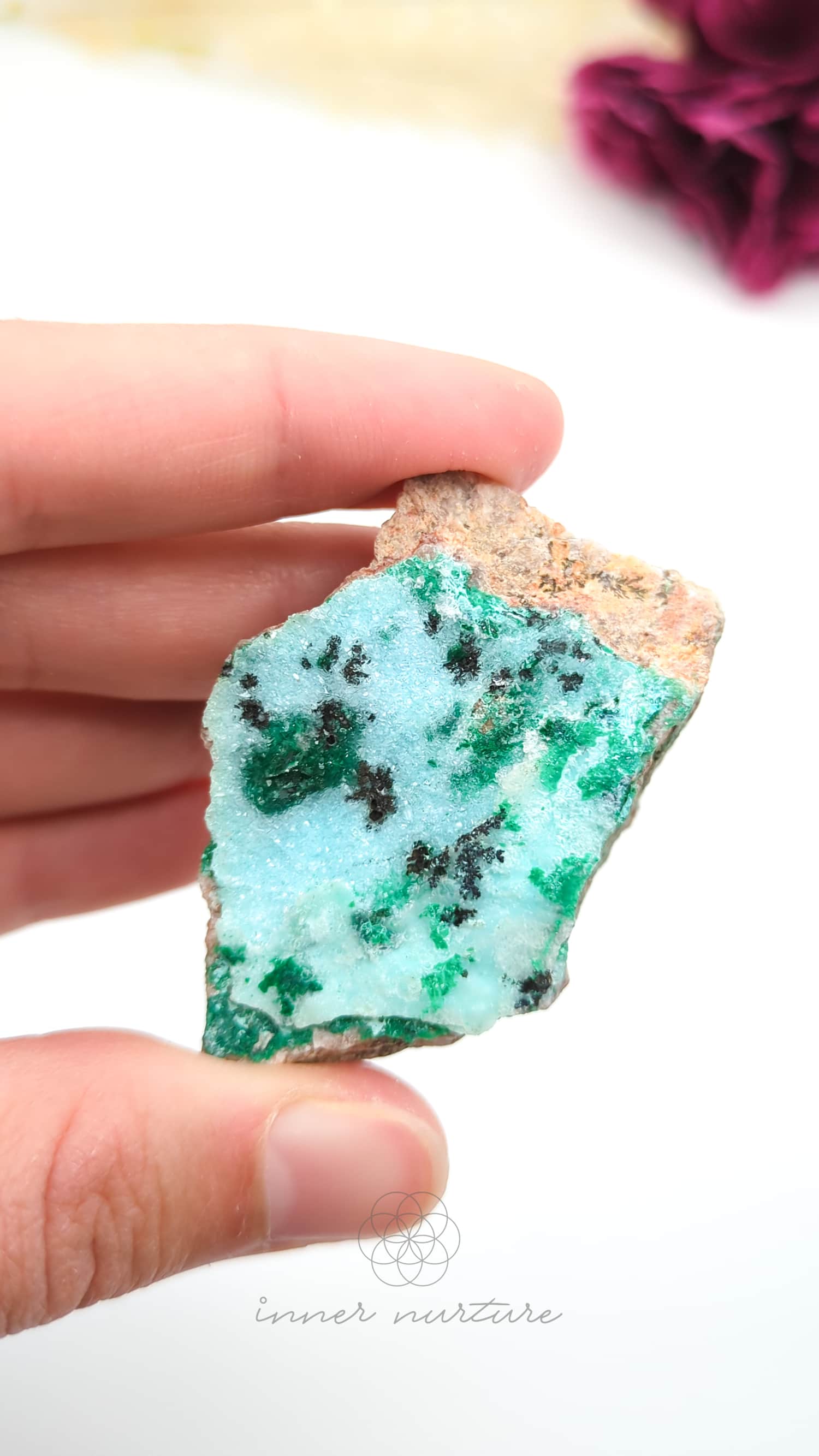 Turquoise mineral specimen held between fingers with a blurred background. Malacolla Specimen, Drusy Coated On Dolomite - #10 at Crystal Shop Online Australia called Inner Nurture