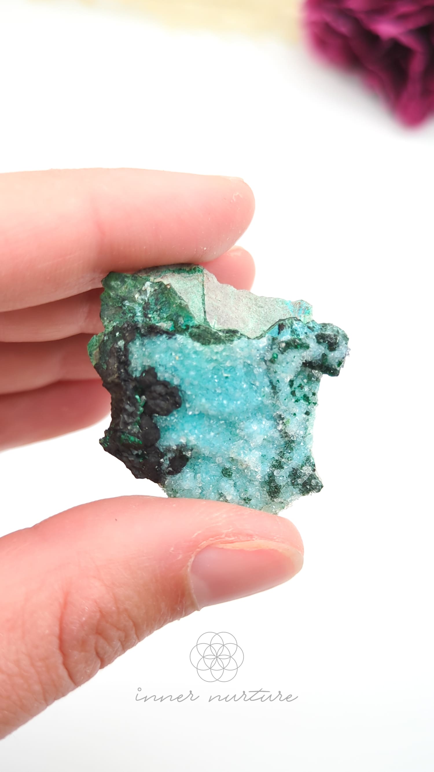 Turquoise mineral held between fingers against a white background. Malacolla Specimen, Drusy Coated On Dolomite  #14 at Crystal Shop Online Australia called Inner Nurture