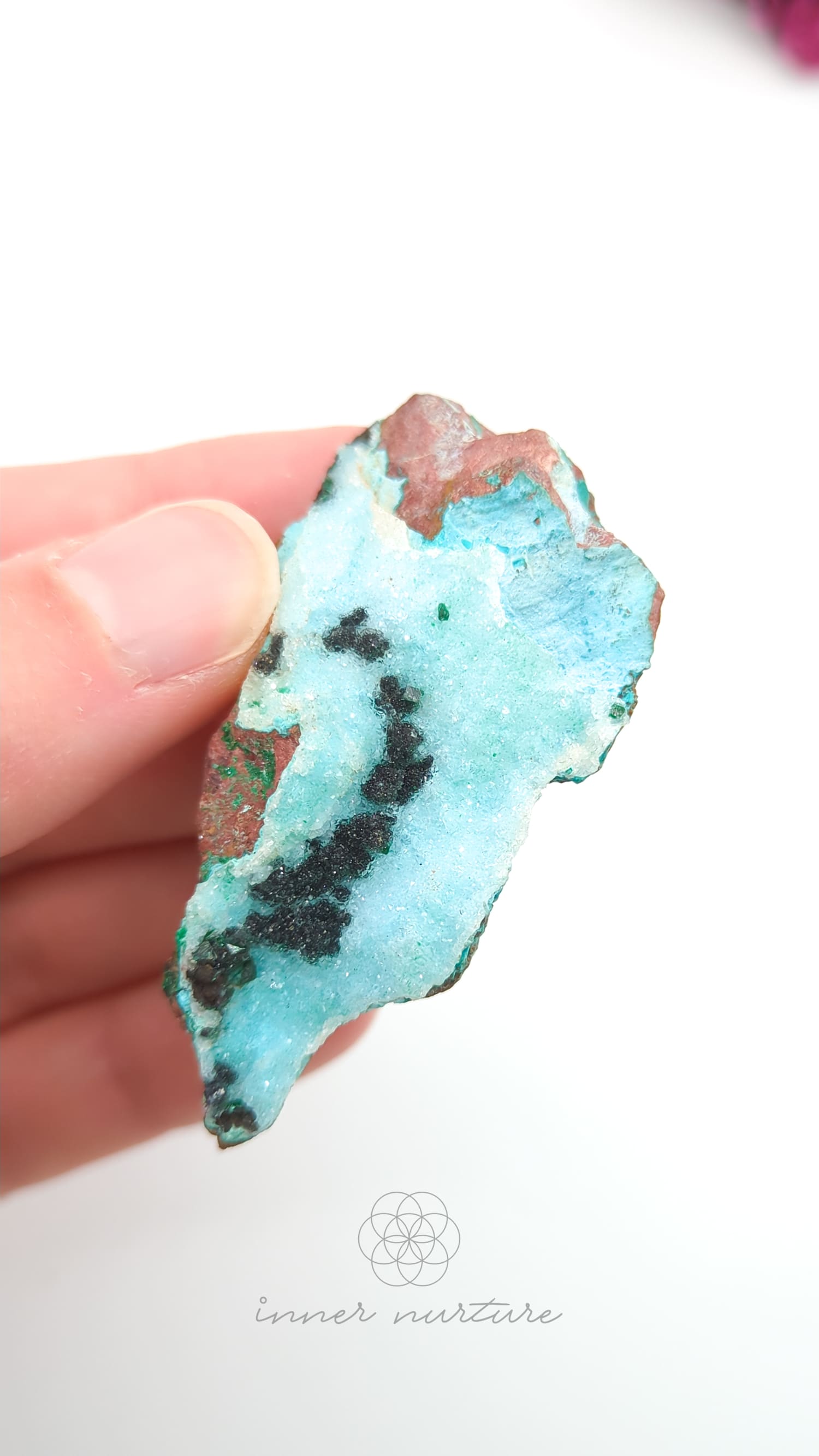 Hand holding a piece of turquoise stone with a white background. Malacolla Specimen, Drusy Coated On Dolomite - #15 at Crystal Shop Online Australia called Inner Nurture