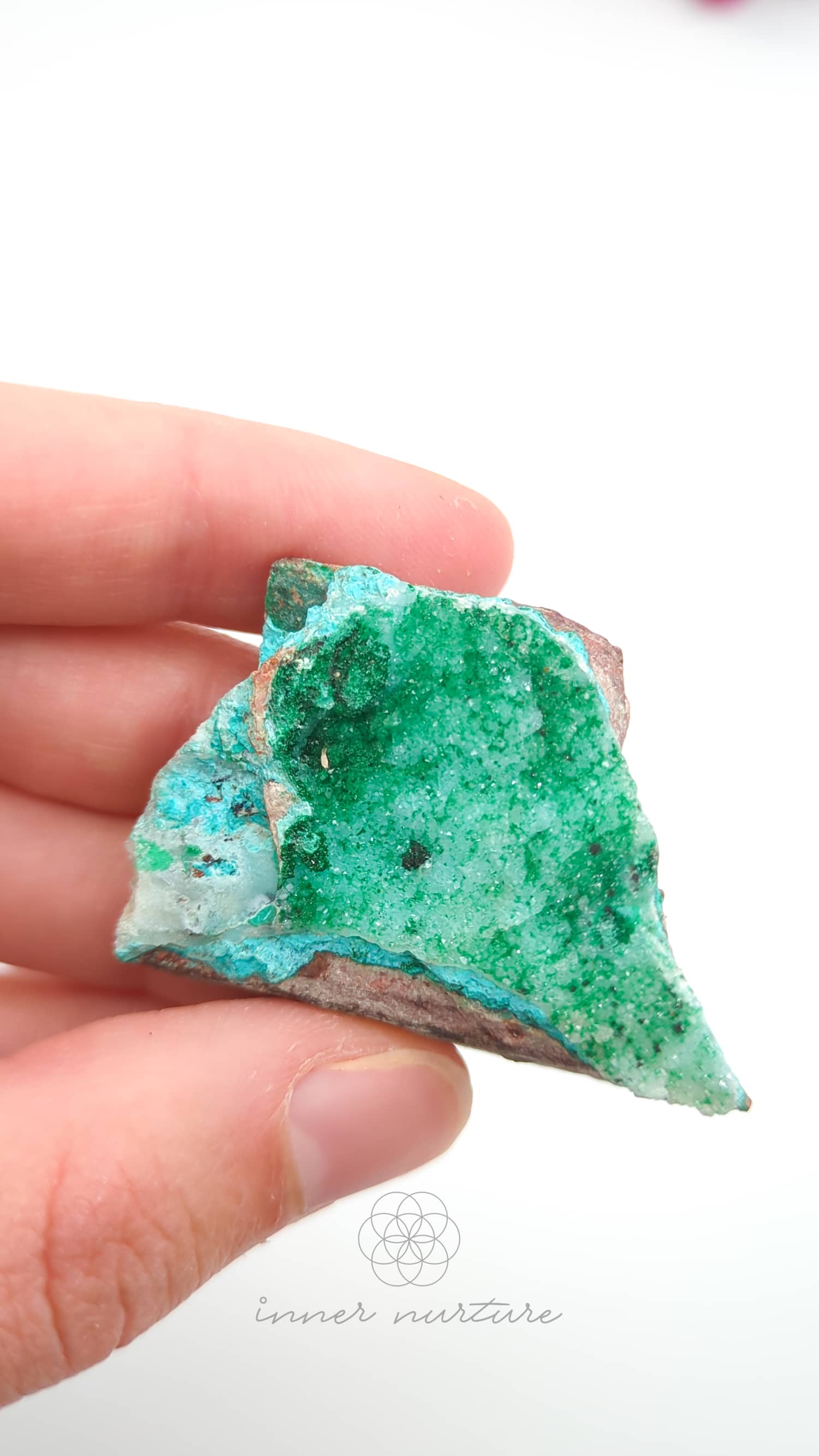Hand holding a green mineral crystal against a white background. Malacolla Specimen, Drusy Coated On Dolomite - #19 at Crystal Shop Online Australia called Inner Nurture