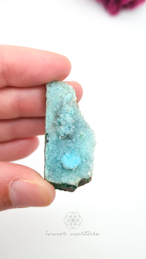 Hand holding a turquoise crystal against a white background. Malacolla Specimen, Drusy Coated On Dolomite - #23 at Crystal Shop Online Australia called Inner Nurture