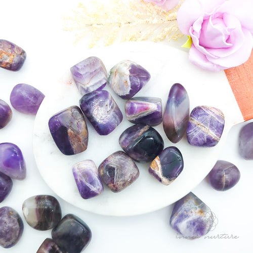 Purple and gray crystals on a white plate with a pink flower in the background. Amethyst tumbles sold online at Inner Nurture Australia. 