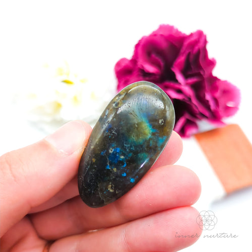 Oval-shaped multicolored stone held between fingers with a pink flower in the background.  Labradorite palm stone available at Inner Nurture, an online crystal shop in Australia.