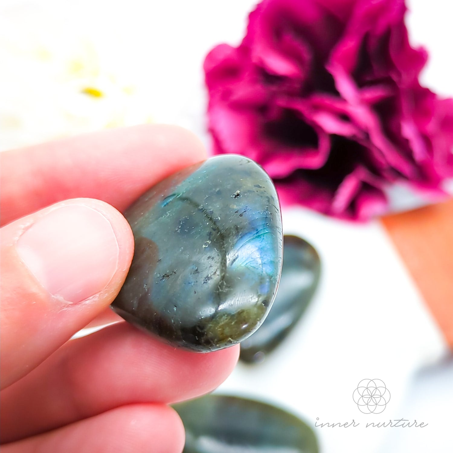 Hand holding a labradorite stone with a pink flower in the background.  Labradorite palm stone available at Inner Nurture, an online crystal shop in Australia.