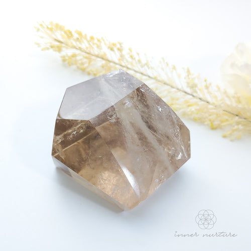 Faceted crystal on a white background with dried plants. Citrine (Natural) Free Form #1 for Abundance & Manifestation | Crystals Australia Inner Nurture