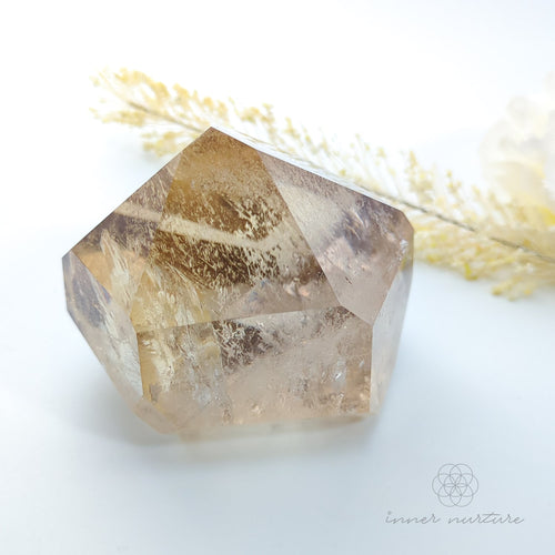 Citrine crystal on a white background with dried flowers. Citrine (Natural) Free Form #2 for Abundance & Manifestation | Crystals Australia Inner Nurture