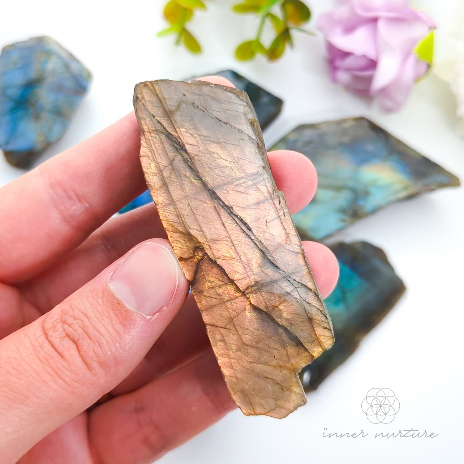 Labradorite Specimen - One Polished Side