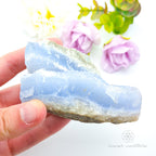 Blue Lace Agate Geode #10 for Calm & Communication | Crystals Australia
