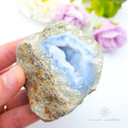 Blue Lace Agate Geode #11 for Calm & Communication | Crystals Australia
