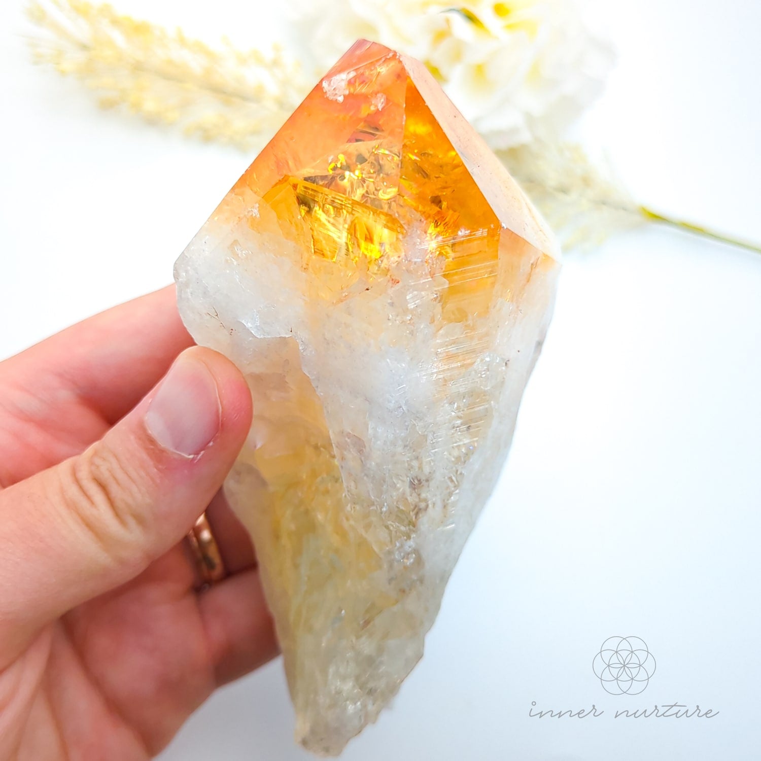 Hand holding a crystal with a yellow center and white surrounding, on a light background. Citrine crystal point available online at Inner Nurture Crystals Australia
