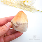 Hand holding a crystal rock with a white background and 'inner nurture' logo. Citrine crystal available online at Inner Nurture Crystals Australia