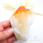 Hand holding a crystal with a warm color gradient, surrounded by dried plants on a white background. Citrine crystal available online at Inner Nurture Crystals Australia