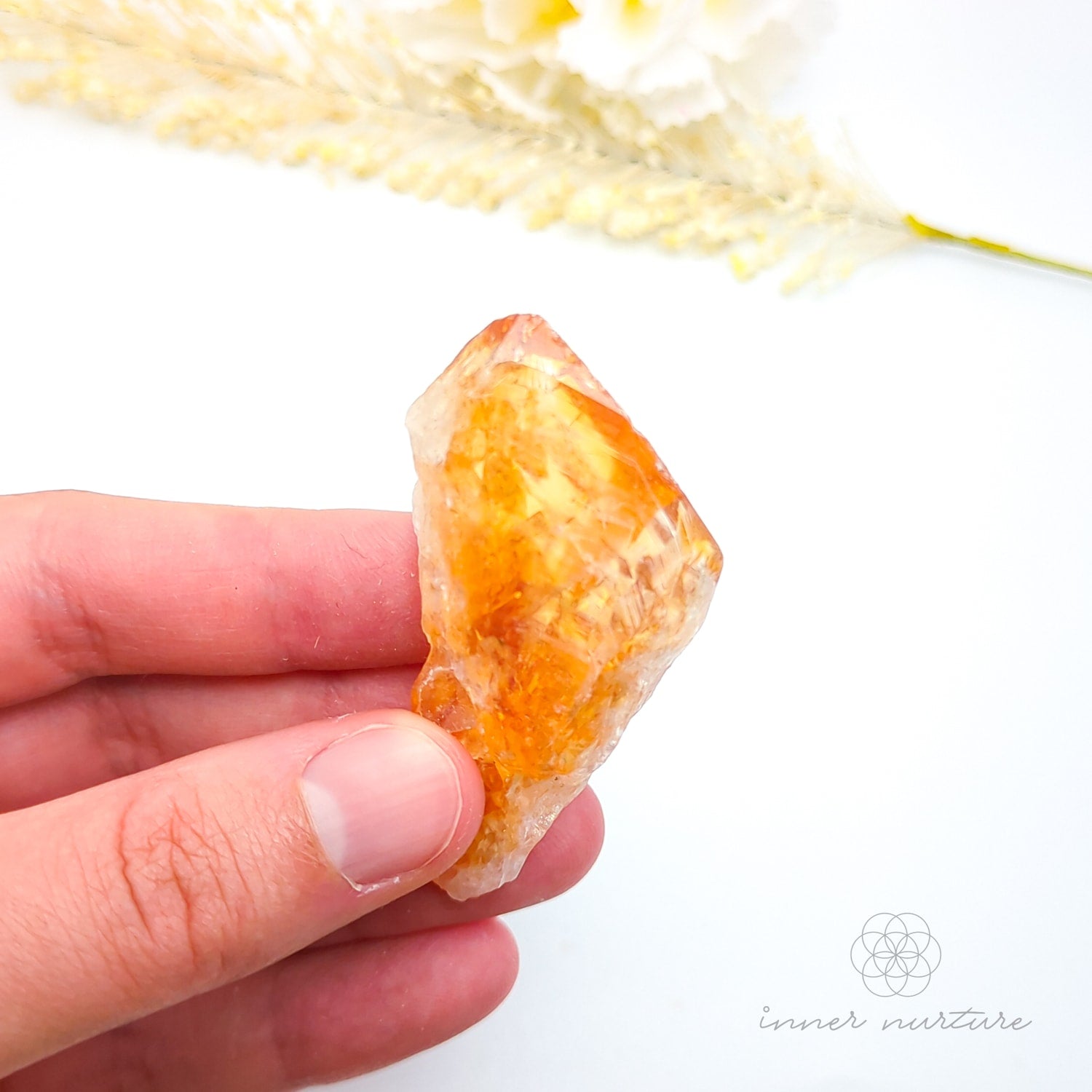 Hand holding a large orange crystal with dried plants in the background. Citrine crystal available online at Inner Nurture Crystals Australia