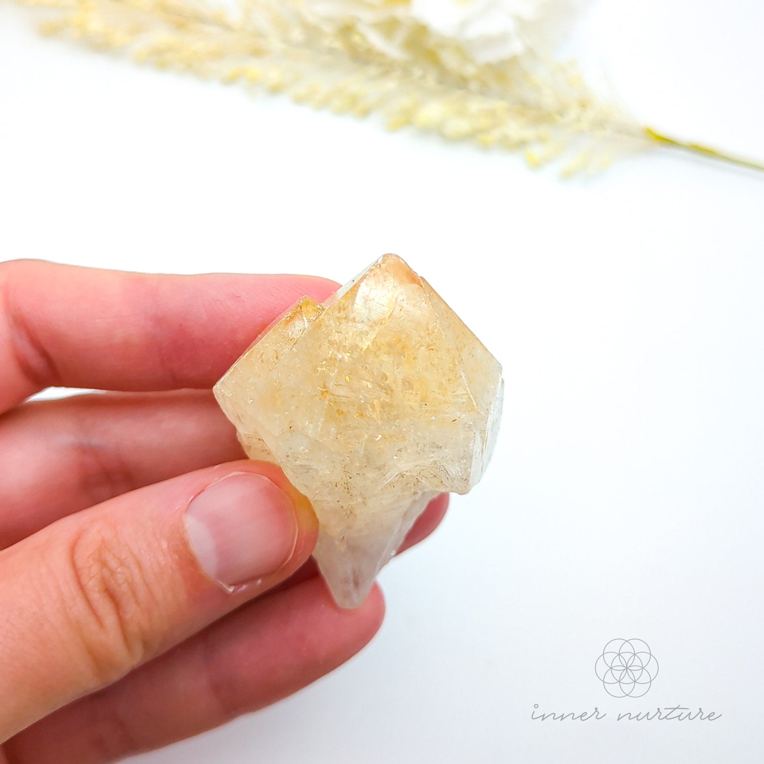 Hand holding a crystal with a white background and 'inner nuture' branding. Citrine crystal available online at Inner Nurture Crystals Australia