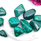 Malachite Tumble | Natural Malachite Crystal | Inner Nurture