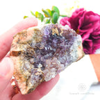 Amethyst Cluster #2 | Natural Amethyst Specimen Australia | Inner Nurture
