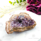 Amethyst Cluster #6 | Natural Amethyst Specimen Australia | Inner Nurture