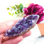 Amethyst Cluster #7 | Natural Amethyst Specimen Australia | Inner Nurture