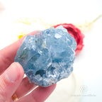 Celestite Cluster #5 | Natural Celestite Specimen Australia | Inner Nurture