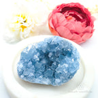 Celestite Cluster #6 | Natural Celestite Specimen Australia | Inner Nurture