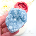 Celestite Cluster #6 | Natural Celestite Specimen Australia | Inner Nurture