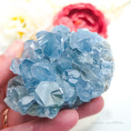 Celestite Cluster #7 | Natural Celestite Specimen Australia | Inner Nurture