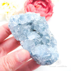 Celestite Cluster #9 | Natural Celestite Specimen Australia | Inner Nurture