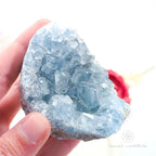 Celestite Cluster #14 | Natural Celestite Specimen Australia | Inner Nurture