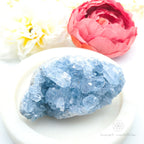 Celestite Cluster #16 | Natural Celestite Specimen Australia | Inner Nurture