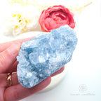 Celestite Cluster #16 | Natural Celestite Specimen Australia | Inner Nurture