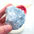 Celestite Cluster #17 | Natural Celestite Specimen Australia | Inner Nurture