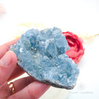 Celestite Cluster #19 | Natural Celestite Specimen Australia | Inner Nurture