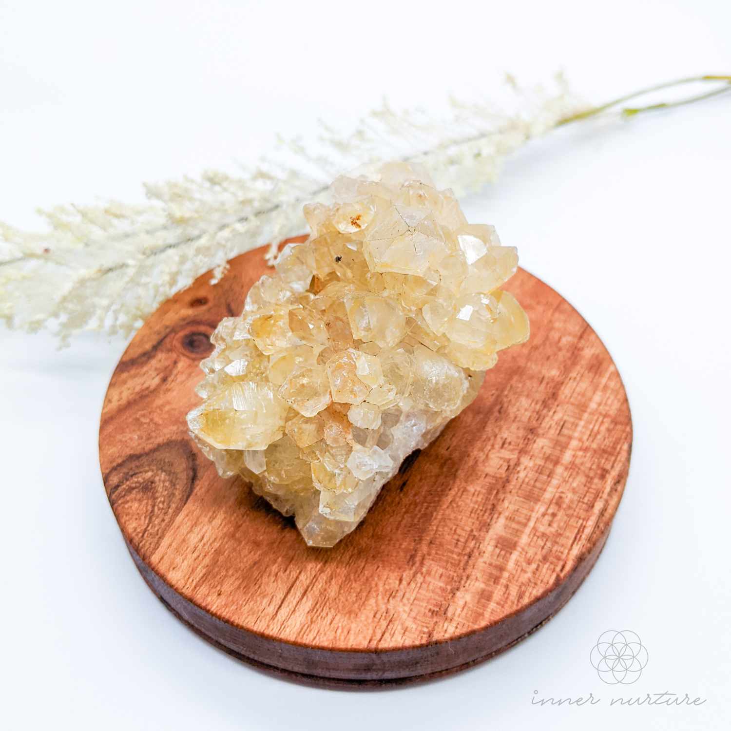 Limonite Quartz Cluster (Golden Healer) - #5 | Crystal Shop Australia - Inner Nurture