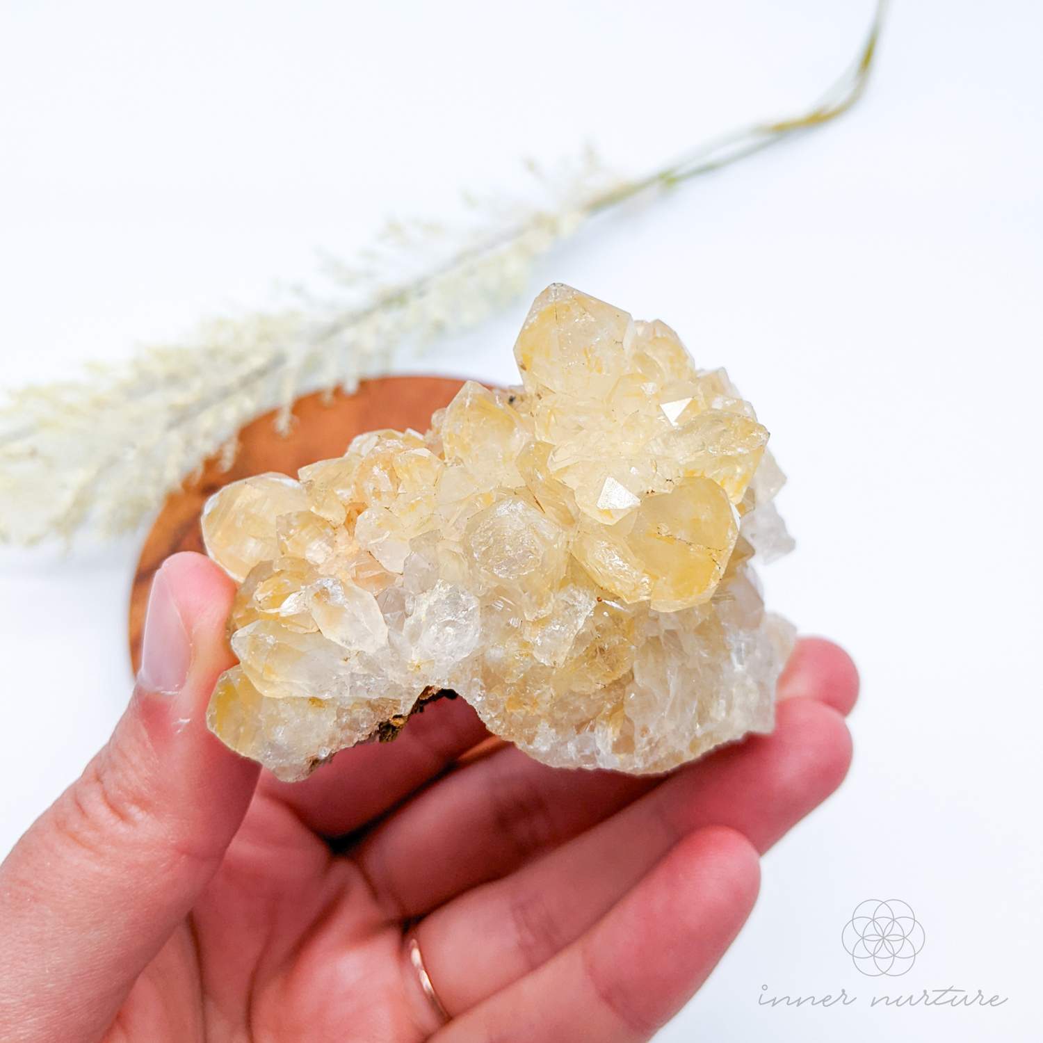 Limonite Quartz Cluster (Golden Healer) - #5 | Crystal Shop Australia - Inner Nurture