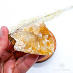 Limonite Quartz Cluster (Golden Healer) - #15 | Crystal Shop Australia - Inner Nurture