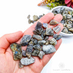 Labradorite Rough Crystal Chips - 50g Packet | Crystal Shop Australia - Inner Nurture
