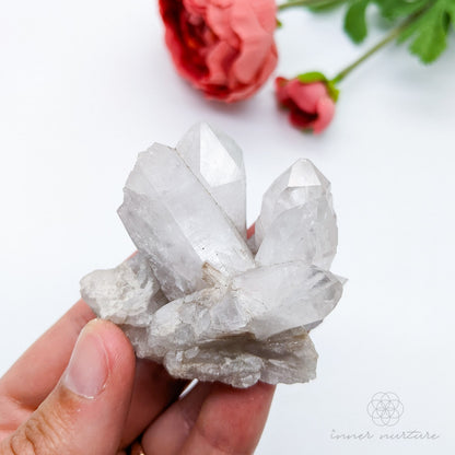 Clear Quartz Sml Cluster - #7 | Crystal Shop Australia - Inner Nurture