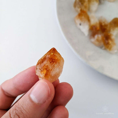 Citrine Point | Small Sizes - Crystal Shop Australia | Inner Nurture - Ethically Sourced - Buy Crystals Online