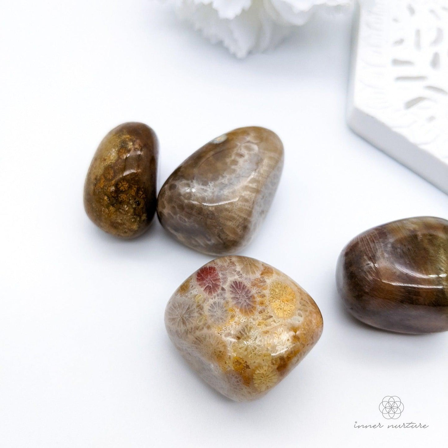 Petrified Coral Tumble - Online Crystal Shop Australia | Inner Nurture - Ethically Sourced
